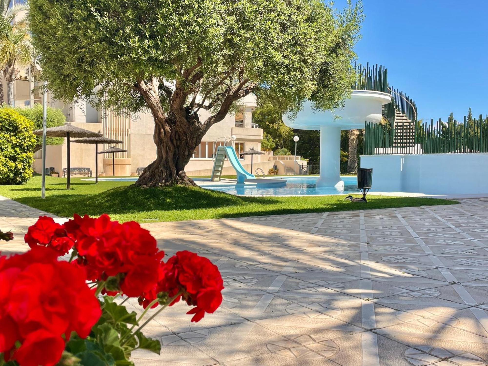 Large Relaxed Terrace, Golf Views Apartment Alicante Luaran gambar